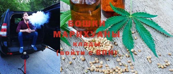 хмурый Инта
