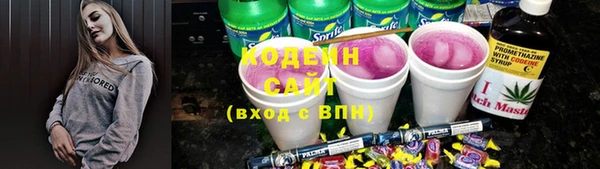 соль ск Иннополис