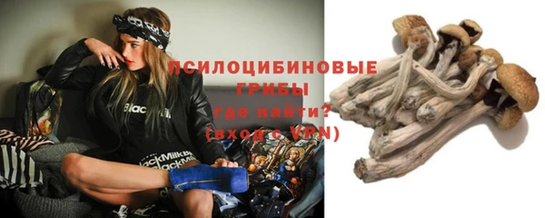 дживик Инсар