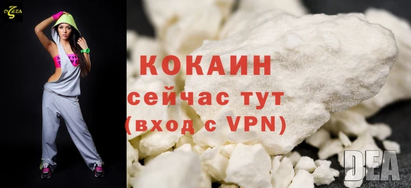 дживик Инсар