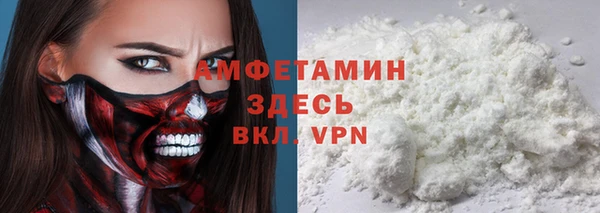 хмурый Инта