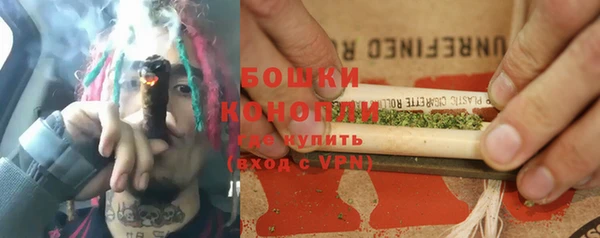 хмурый Инта