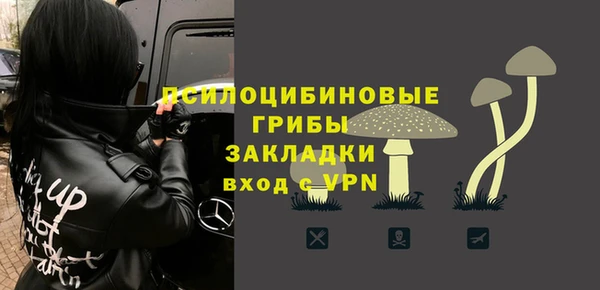 соль ск Иннополис