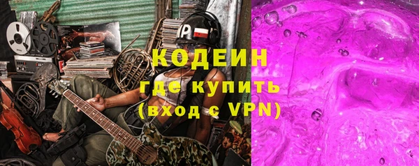 хмурый Инта