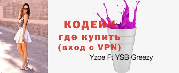 хмурый Инта