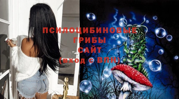 хмурый Инта