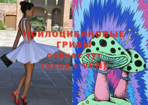 соль ск Иннополис