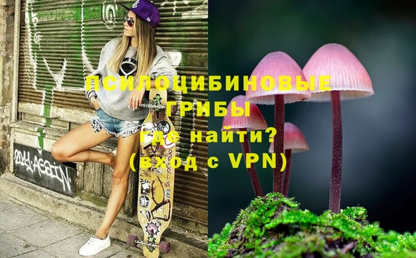 хмурый Инта