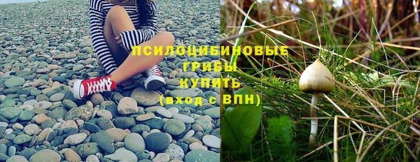 дживик Инсар