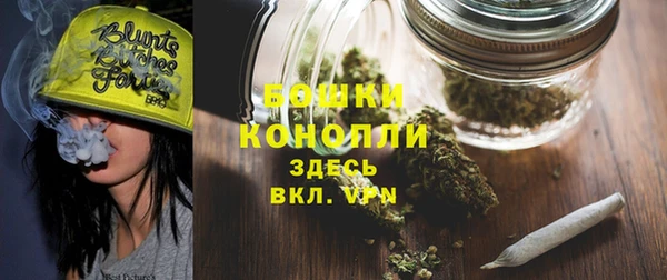 хмурый Инта