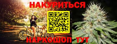 трава Кингисепп
